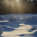 16 января в рамках Всемирного Дня снега на Сенненшчыне пройдет настоящий праздник